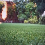 How much does Turfing cost in Copthorne?